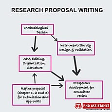Phd Assistance