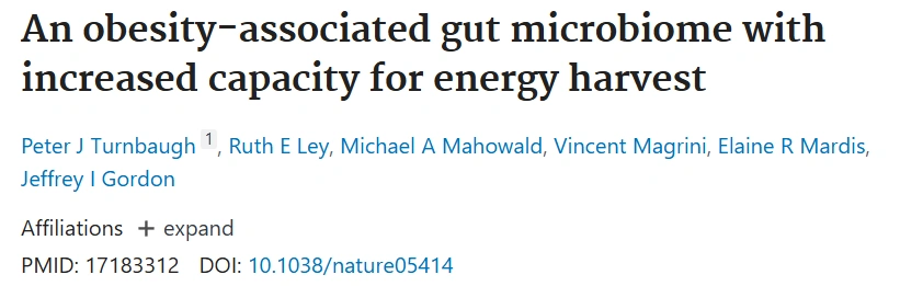 Obesity-Associated Gut Microbiome & Energy Harvest